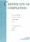Online Consulting Excel Cert.jpg (193157 bytes)