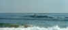 Surfpic1.jpg (45319 bytes)