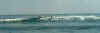 Surfpic2.JPG (25486 bytes)
